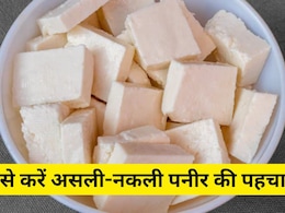 दिवाली पर जमकर बिक रहा नकली पनीर! जानें कैसे करें असली की पहचान, हो न जाए परेशानी दिवाली पर जमकर बिक रहा नकली पनीर! जानें कैसे करें असली की पहचान, हो न जाए परेशानी