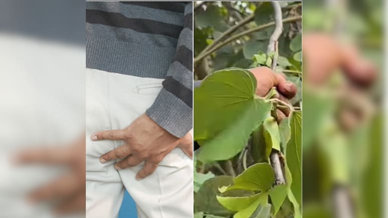 20 साल पुरानी बवासीर बिना ऑपरेशन के हो जाएगी ठीक, इस पेड़ की छाल दिखाएगी कमाल, जानें इस्तेमाल करने का तरीका 20 साल पुरानी बवासीर बिना ऑपरेशन के हो जाएगी ठीक, इस पेड़ की छाल दिखाएगी कमाल, जानें इस्तेमाल करने का तरीका