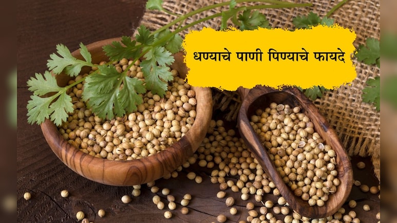 Coriander Seeds Water Benefits: रिकाम्या पोटी धण्याचे पाणी पिण्याचे 4 मोठे फायदे, कसे तयार करावे पाणी? Coriander Seeds Water Benefits: रिकाम्या पोटी धण्याचे पाणी पिण्याचे 4 मोठे फायदे, कसे तयार करावे पाणी?