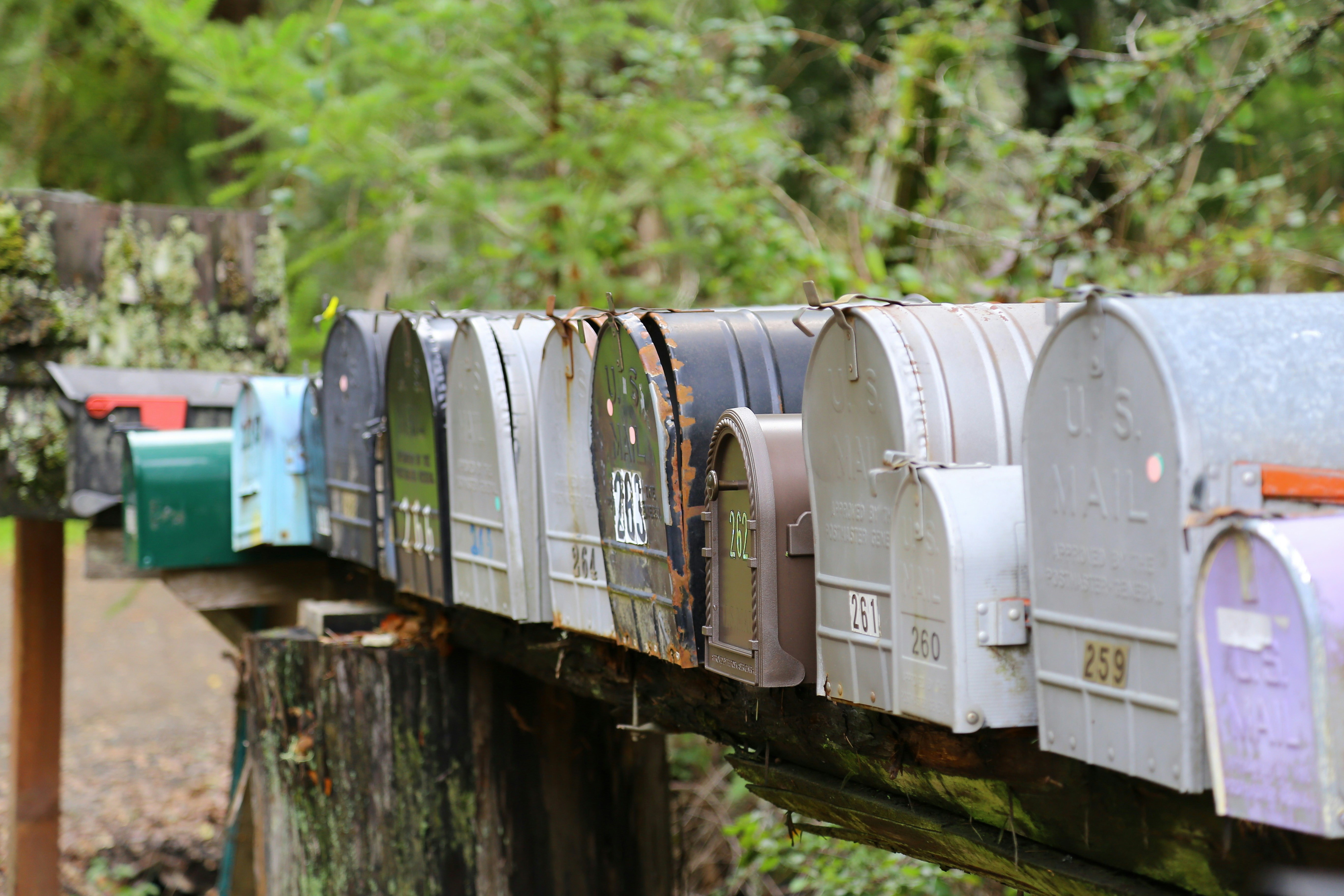 India Resumes All Categories Of International Postal Services To US From Oct 15