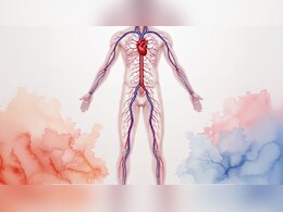 ब्लड सर्कुलेशन कमजोर पड़ना है शरीर के लिए खतरनाक, जानें कैसे रखें धमनियां साफ