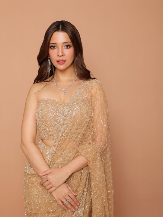 Barkha Singh’s Saree Style Is All About Sparkle and Sophistication
