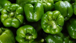 How To Tell If Capsicum Has Gone Bad And The Best Way To Store It
