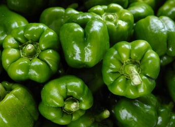 Easy Capsicum Storage Tips To Prevent Wilting And Spoilage