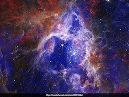 For The First Time, Scientists Spot Life's Essentials Frozen In A Distant Galaxy For The First Time, Scientists Spot Life's Essentials Frozen In A Distant Galaxy