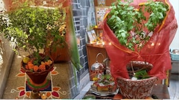 Tulsi Vivah 2025: 1 या 2... कब है तुलसी विवाह, कैसे करें तुलसी माता का श्रृंगार? जानिए सही डेट, शुभ मुहुर्त-पूजा विधि और महत्व
