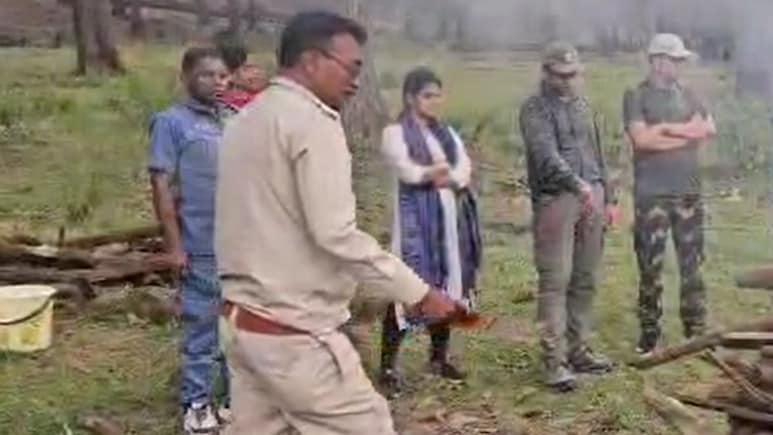 कान्हा नेशनल पार्क की बड़ी त्रासदी, आपसी संघर्ष में तीन बाघों की मौत