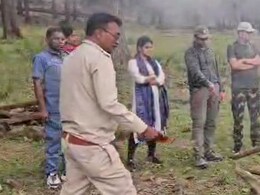 कान्हा नेशनल पार्क की बड़ी त्रासदी, आपसी संघर्ष में तीन बाघों की मौत कान्हा नेशनल पार्क की बड़ी त्रासदी, आपसी संघर्ष में तीन बाघों की मौत