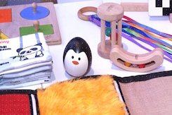 BrainyTots: Brain Science-Based Toys for Early Learning BrainyTots: Brain Science-Based Toys for Early Learning