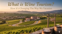 What is Wine Tourism? How It's Changing The Way We Vacation