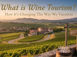 What is Wine Tourism? How It's Changing The Way We Vacation