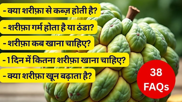 शरीफ़ा से क्या फायदे होते हैं, शरीफ़ा ठंडा होता है या गरम, शरीफा  कब खाना चाहिए , शरीफ़ा खाने से वजन बढ़ता है या कब्ज़ होती है? | 38 FAQs शरीफ़ा से क्या फायदे होते हैं, शरीफ़ा ठंडा होता है या गरम, शरीफा  कब खाना चाहिए , शरीफ़ा खाने से वजन बढ़ता है या कब्ज़ होती है? | 38 FAQs