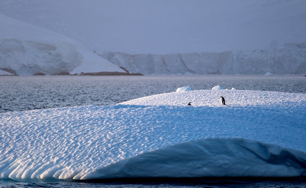 Antarctic Winter Sea Ice Hits Third-Lowest Level In 47 Years