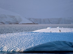 Antarctic Winter Sea Ice Hits Third-Lowest Level In 47 Years