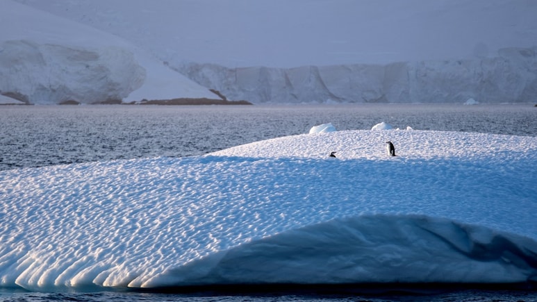 Antarctic Winter Sea Ice Hits Third-Lowest Level In 47 Years
