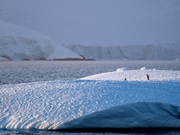 Antarctic Winter Sea Ice Hits Third-Lowest Level In 47 Years Antarctic Winter Sea Ice Hits Third-Lowest Level In 47 Years