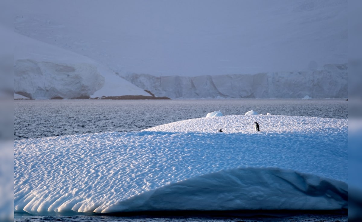 Antarctica Sees Similar Climate Change Effects As Greenland: Study