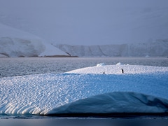 Antarctica Sees Similar Climate Change Effects As Greenland: Study
