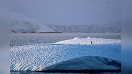 Antarctica Sees Similar Climate Change Effects As Greenland: Study