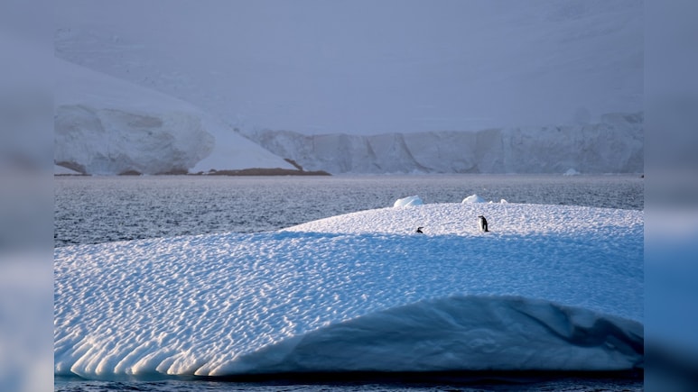 Antarctica Sees Similar Climate Change Effects As Greenland: Study