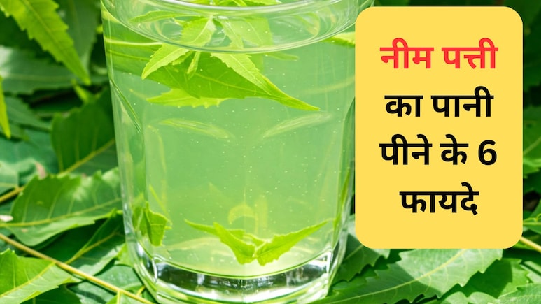 रोजाना नीम का पानी पीने से शरीर पर पड़ता है 6 तरह से असर, जानिए यहां