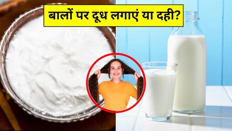 दूध या दही, Hair Growth के लिए क्या ज्यादा अच्छा है? दूध या दही, Hair Growth के लिए क्या ज्यादा अच्छा है?