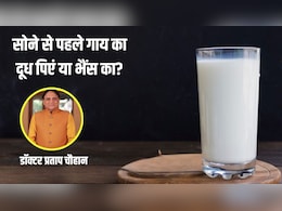 सोने से पहले गाय का दूध पीना चाहिए या भैंस का? जानें क्या कहता है आयुर्वेद सोने से पहले गाय का दूध पीना चाहिए या भैंस का? जानें क्या कहता है आयुर्वेद