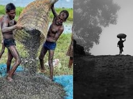 'सफेद सोना' मखाना और बाल मजदूरों की काली दुनिया...सुपरफूड की दुनिया में अंधेरे का पूरा सच 'सफेद सोना' मखाना और बाल मजदूरों की काली दुनिया...सुपरफूड की दुनिया में अंधेरे का पूरा सच