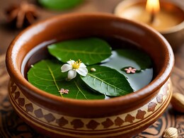 हाई यूरिक एसिड के लिए वरदान माना जाता है पान का पत्ता, जानिए इस्तेमाल करने का आसान तरीका