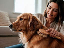 Pet Care Tips: कुत्रे किंवा मांजरीच्या वासाने घरात टेन्शन? 'या' 4 सोप्या गोष्टींनी दूर होईल सर्व त्रास Pet Care Tips: कुत्रे किंवा मांजरीच्या वासाने घरात टेन्शन? 'या' 4 सोप्या गोष्टींनी दूर होईल सर्व त्रास