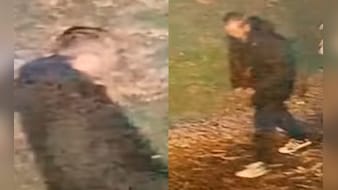Indian-Origin Woman Raped In UK, Cops Release Suspect's CCTV: What We Know