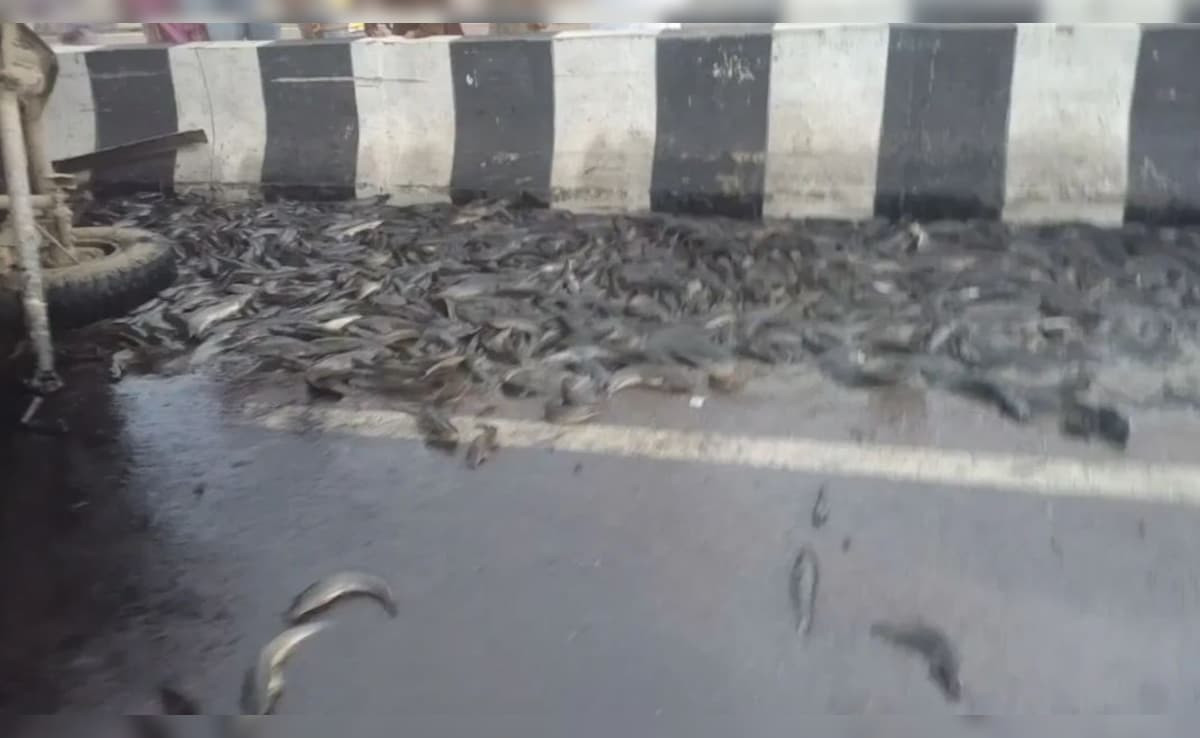 Latest and Breaking News on NDTV Latest and Breaking News on NDTV