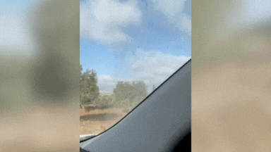 ऐसी हैवानियत! इजरायली युवक ने 55 साल की फिलिस्तीनी महिला को जानवर की तरह मारा- वीडियो दिल दहला देगा