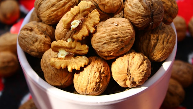 Latest and Breaking News on NDTV Latest and Breaking News on NDTV