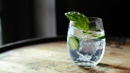 International Gin And Tonic Day 2025: 7 Desi Snacks To Pair With Your Drink
