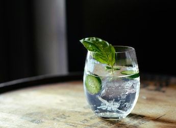 International Gin And Tonic Day 2025: 7 Desi Snacks To Pair With Your Drink