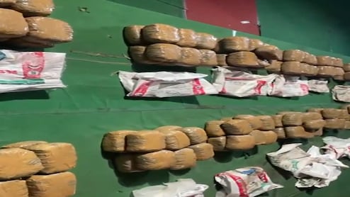 400 kg Ganja, Hidden Under Coconuts, Busted Near Hyderabad's Ramoji Film City