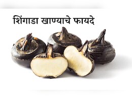 Singhara Benefits: 5 लोकांच्या आरोग्यासाठी शिंगाडे खाणे ठरेल वरदान, जाणून घ्या जबरदस्त फायदे Singhara Benefits: 5 लोकांच्या आरोग्यासाठी शिंगाडे खाणे ठरेल वरदान, जाणून घ्या जबरदस्त फायदे