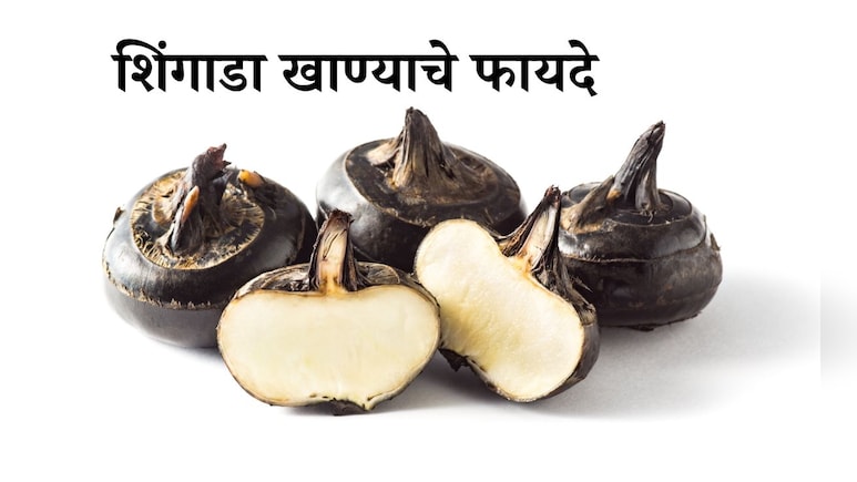 Singhara Benefits: 5 लोकांच्या आरोग्यासाठी शिंगाडे खाणे ठरेल वरदान, जाणून घ्या जबरदस्त फायदे Singhara Benefits: 5 लोकांच्या आरोग्यासाठी शिंगाडे खाणे ठरेल वरदान, जाणून घ्या जबरदस्त फायदे