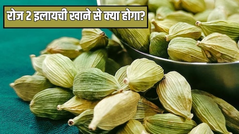 अगर मैं रोज इलायची खाऊं तो क्या होगा? Doctor Hansaji ने बताए ने रोज 2 हरी इलायची खाने के फायदे