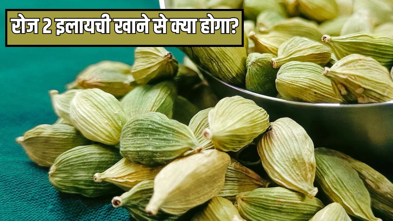 रात में सोने से पहले इलायची खाने के फायदे,इलायची गर्म होती है या ठंडी,रात को सोने से पहले दो इलायची खाने से क्या होता है? रात में दो इलायची खाने से क्या होता है?,रात में सोने से पहले इलायची खाने से क्या होता है?,1 दिन में कितनी इलायची खानी चाहिए?,खाली पेट दो इलायची खाने से क्या होता है?,cardamom elaichi benefits,elaichi benefits,cardamom,raat me 2 elaichi khane se kya hota hai,2 elaichi khane se kya hota hai,cardamom hot or cold,What happens if you eat two cardamom before bed,, raat ko ilaychi khane ke fayde, ilaychi for sleep, ilaychi khane ka sahi samay, elachi benefits at night, गहरी नींद के लिए इलायची, इलायची से पाचन कैसे सुधारे, insomnia home remedies, ilaychi benefits for digestion, रात को सोते समय इलायची क्यों खानी चाहिए, ilaychi khane ka tarika, ilaychi for better sleep, Latest and Breaking News on NDTV