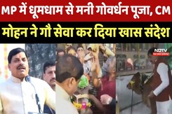 Madhya Pradesh में धूमधाम से मनी Govardhan Puja, CM Mohan Yadav ने गौ सेवा कर दिया खास संदेश Madhya Pradesh में धूमधाम से मनी Govardhan Puja, CM Mohan Yadav ने गौ सेवा कर दिया खास संदेश
