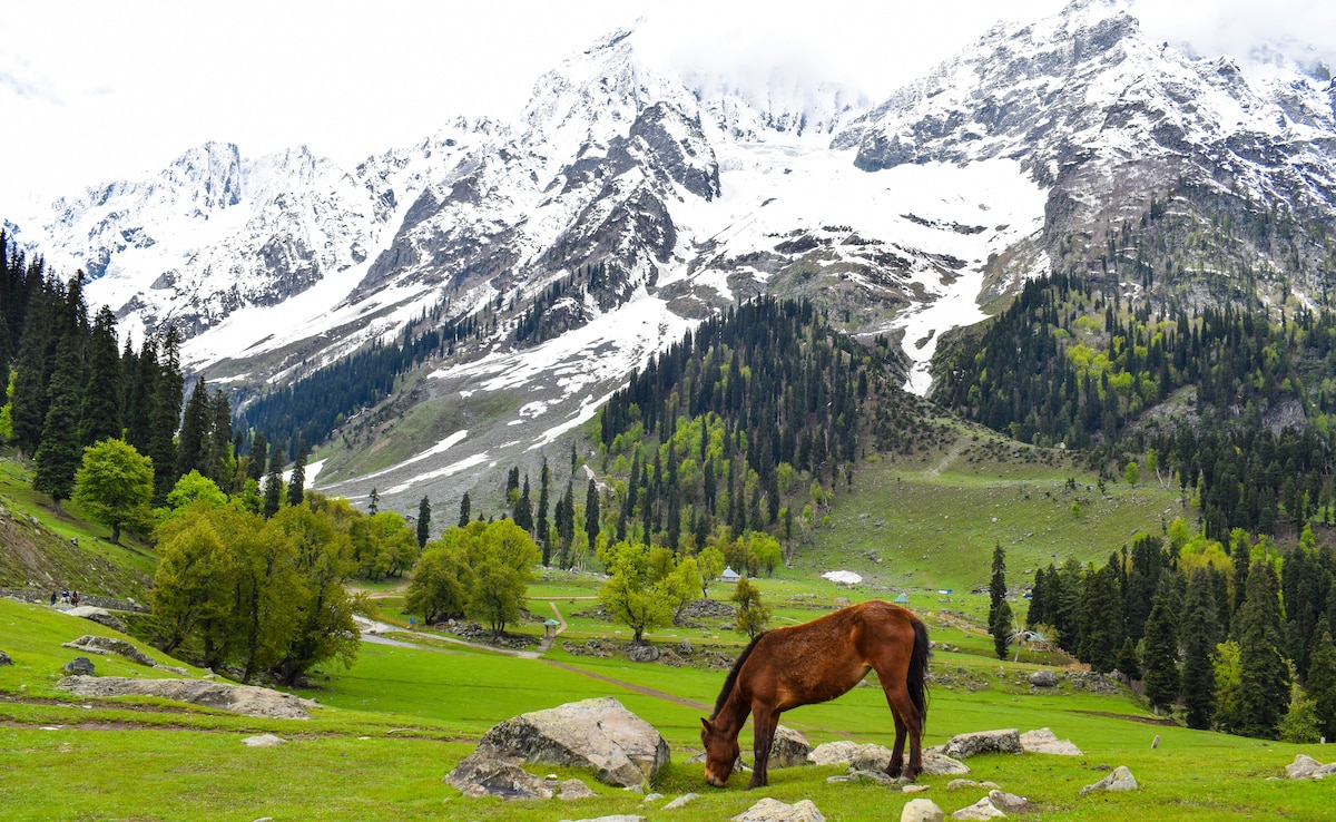 Latest and Breaking News on NDTV Latest and Breaking News on NDTV