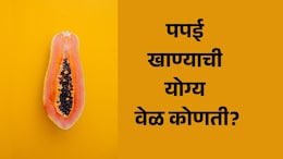 Papaya Benefits: रोज पपई खाल्ल्यास काय होईल? कधी खावं हे फळ, जाणून घ्या फायदे आणि नुकसान
