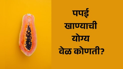 Papaya Benefits: रोज पपई खाल्ल्यास काय होईल? कधी खावं हे फळ, जाणून घ्या फायदे आणि नुकसान Papaya Benefits: रोज पपई खाल्ल्यास काय होईल? कधी खावं हे फळ, जाणून घ्या फायदे आणि नुकसान