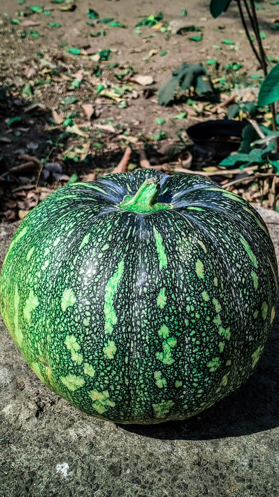 कद्दू खाने के 8 फायदे