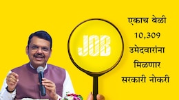 Government Job News: अनुकंपा आणि MPSC उमेदवारांसाठी गुड न्यूज, नोकरी नियुक्तीपत्र कधी मिळणार आणि पुण्यातील उमेदवारांची संख्या किती?
