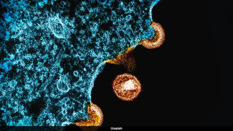 Century-Old Virus Therapy May Help Tackle Growing Antibiotic Resistance Crisis Century-Old Virus Therapy May Help Tackle Growing Antibiotic Resistance Crisis