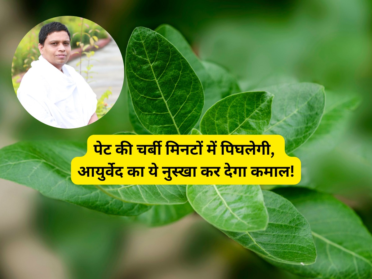 आचार्य बालकृष्ण ने बताया पेट की चर्बी तेजी से गलाने का जबरदस्त नुस्खा, बस इस जड़ का पानी खाली पेट रोज है पीना