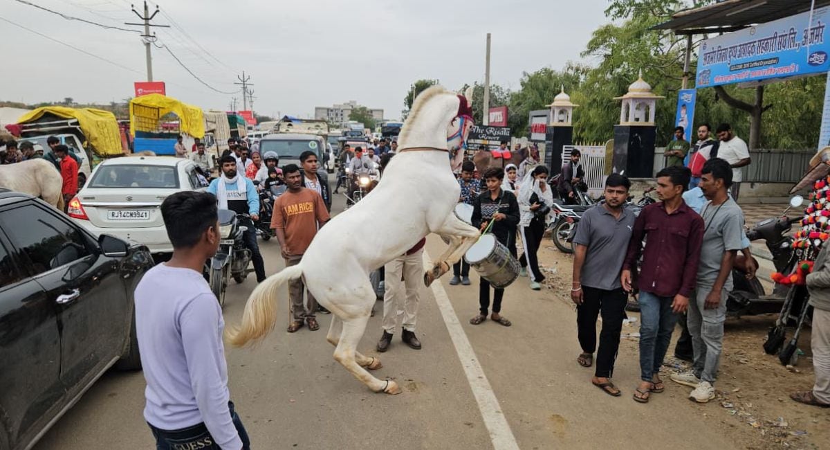 घोड़े ने किया डांस. 